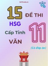 15 Đề thi HSG cấp Tỉnh môn Văn 11 (Có đáp án)